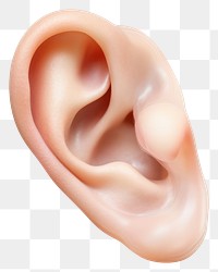 PNG Realistic human ear illustration