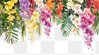 PNG Tropical floral border illustration