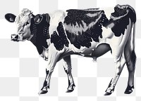 PNG Detailed black and white cow