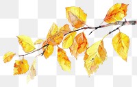 PNG Vibrant autumn leaves illustration