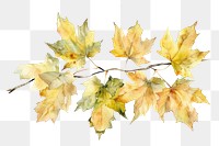 PNG Autumn leaves watercolor illustration