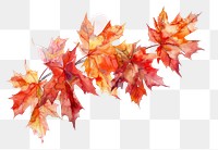 PNG Vibrant autumn maple leaves illustration