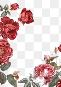 PNG Elegant red and pink roses