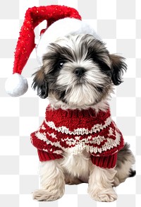 PNG Festive puppy in Christmas attire