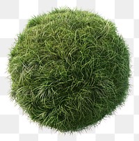 PNG Spherical lush green grass ball