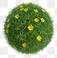 PNG Spherical grass ball with flowers