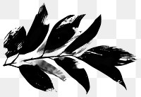 PNG black and white vectors silhouette of *leaf shape* brush stroke border, simple clean and clear, isolated on white background --v 6.0 --ar 3:2