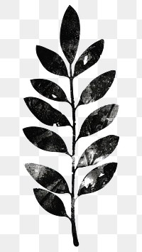 PNG black and white vectors silhouette of *leaf plant shape* brush stroke, simple clean and clear, isolated on white background --v 6.0 --ar 2:3