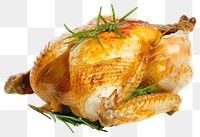 PNG Roasted chicken with rosemary garnish