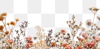 PNG Dried floral arrangement border illustration