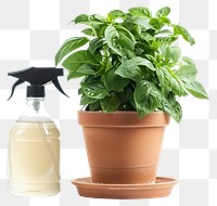 Potted plant spray bottle