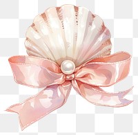 PNG  Elegant seashell pearl ribbon