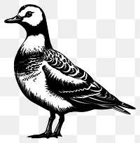 PNG Vintage bird illustration, detailed, monochrome.