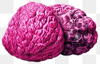 PNG Detailed pink brain-like fruit