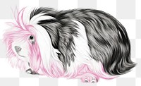 PNG Colorful guinea pig illustration art