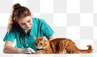 PNG  Veterinarian examining a cat