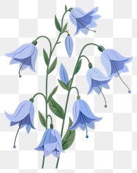 PNG Blue small bellflowers art blossom plant.