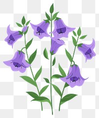 PNG Purple small bellflowers foxglove blossom plant.