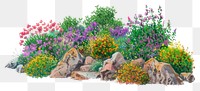 PNG  Colorful desert garden illustration