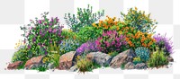 PNG  Colorful desert garden illustration