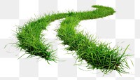 PNG  Winding grass path isolated white