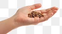 PNG  Hand holding seeds, isolated