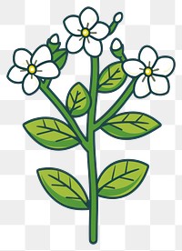 PNG  Simple white flower illustration