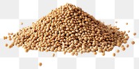 PNG Organic soybeans on white background