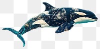 PNG  Orca double exposure art