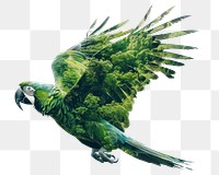 PNG  Parrot double exposure forest