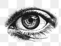 PNG  Detailed monochrome eye illustration