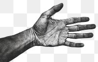 PNG  Detailed black and white hand