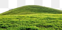 PNG  Lush green grassy hill landscape