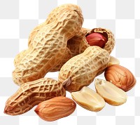 PNG Fresh peanuts with shells