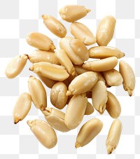 PNG Shelled peanuts on white background