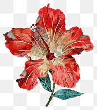 PNG Vibrant floral collage artwork