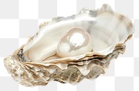 PNG Lustrous pearl inside open oyster