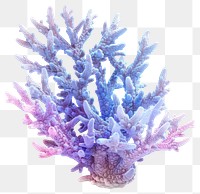 PNG Vibrant purple coral reef