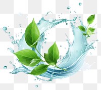 PNG  Fresh green leaves water splash