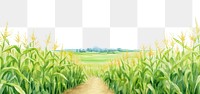 Corn field. 