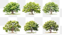 PNG watercolor tree element set, transparent background