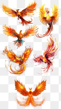 PNG Phoenix bird element set, transparent background