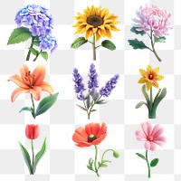 PNG 3d flower element set, transparent background