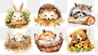 PNG Watercolor sleeping animal illustration element set, transparent background