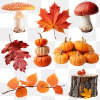 PNG Autumn collage element set, transparent background