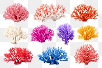 PNG colorful coral element set, transparent background