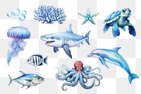 PNG watercolor sea life element set, transparent background