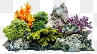 Colorful coral reef aquarium decoration