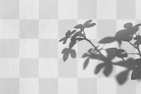 PNG  Botanical shadow on wall