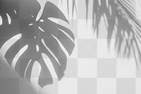 PNG  Monstera leaf shadow art